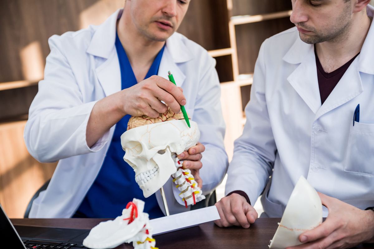 Two surgeons in white coats examining an anatomical model of the skull and brain during a surgical planning discussion